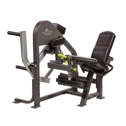 Torque Leg Extension